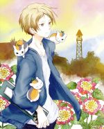 [Used] Natsume's Book of Friends: The Movie: Leading to the Utsusemi (Limited Edition) / Midorikawa Yuki (original work), Kamiya Hiroshi (Natsume Takashi), Inoue Kazuhiko (Nyanko Sensei, Madara), Kobayashi Sanae (Natsume Reiko), Ito Hideki (director)