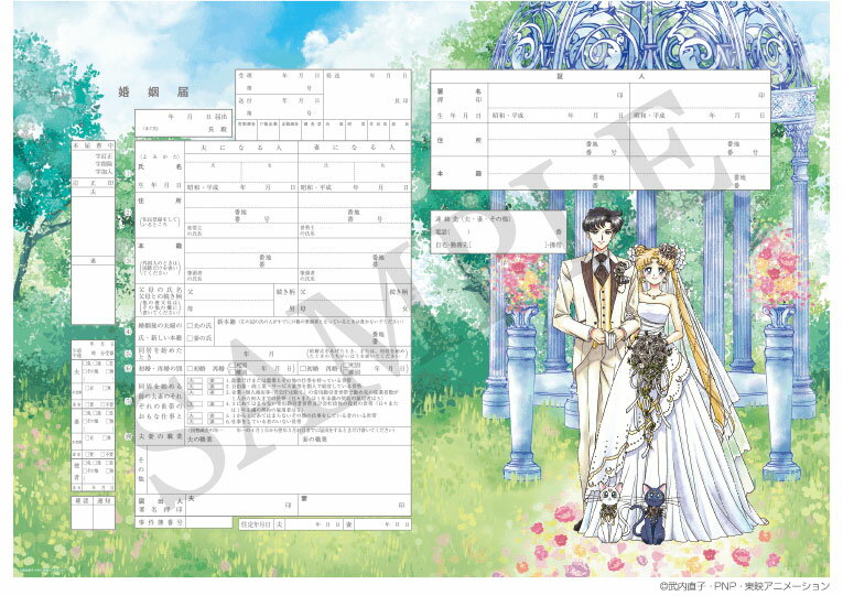 <Marriage Registration Manufacturing> Character Marriage Registration Sailor Moon Romance Wedding - A very popular alternative to an engagement ring for proposals!