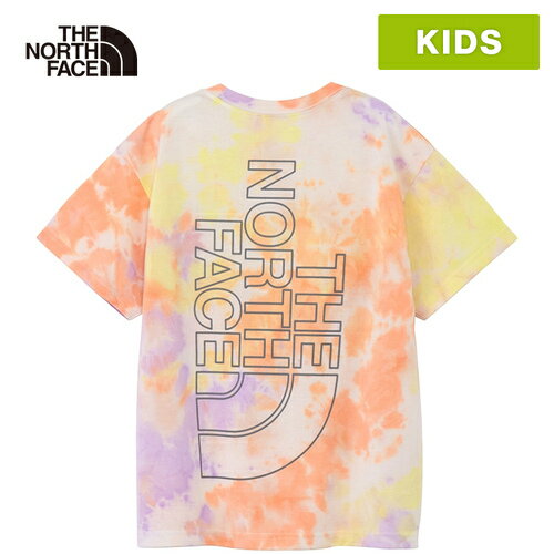 The North Face North Face Kids T-Shirt Short Sleeve Novelty Big Root Tee S/S Novelty Big Root Tee Purple NTJ32579 PP