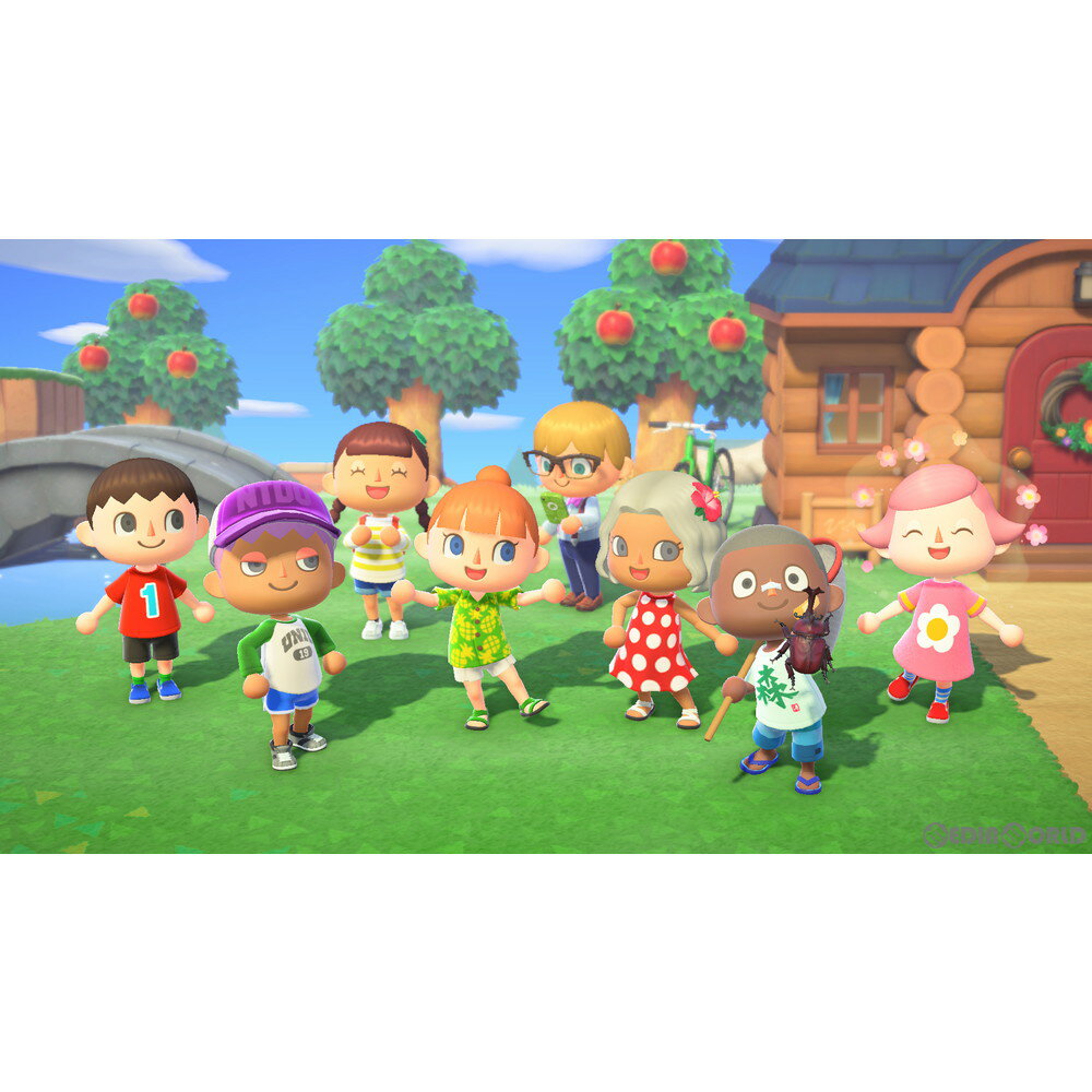 [Used] [Switch] Animal Crossing: New Horizons Nintendo (20200320)