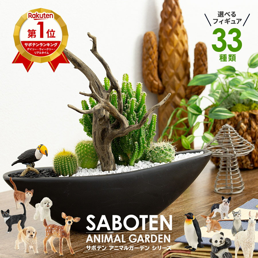 Cactus Planting Opening Celebration Anniversary Celebration Beauty Salon Shop Celeus Stylish Interior Cactus Planting Celeus Electromagnetic Cactus Driftwood Type Ceramic Pot Schleich Animal Figure included Tamasa