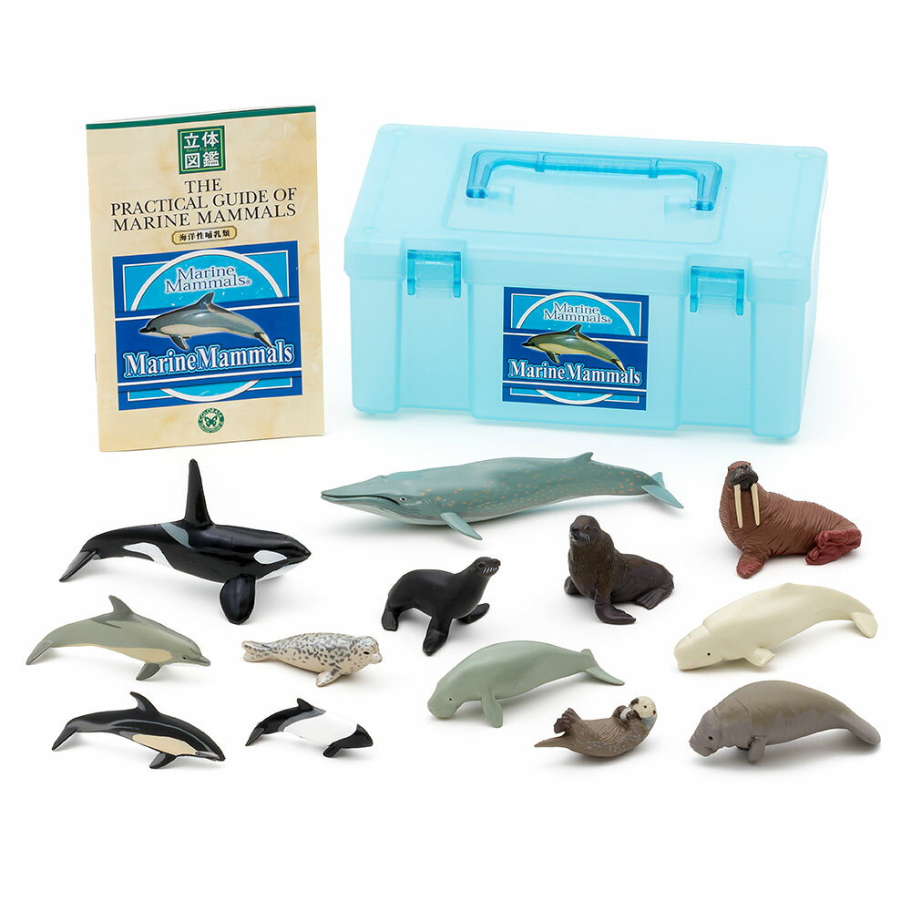 Animals Real Figures, 3D Encyclopedia, Marine Mamal Box, 13 Types, 13 Pieces, with an explanation of living things | Objects, Terrarium, Photography, Geocolle, Candy Toys, Realistic Props, Children, Children, Birthday, Real, Three-dimensional, �