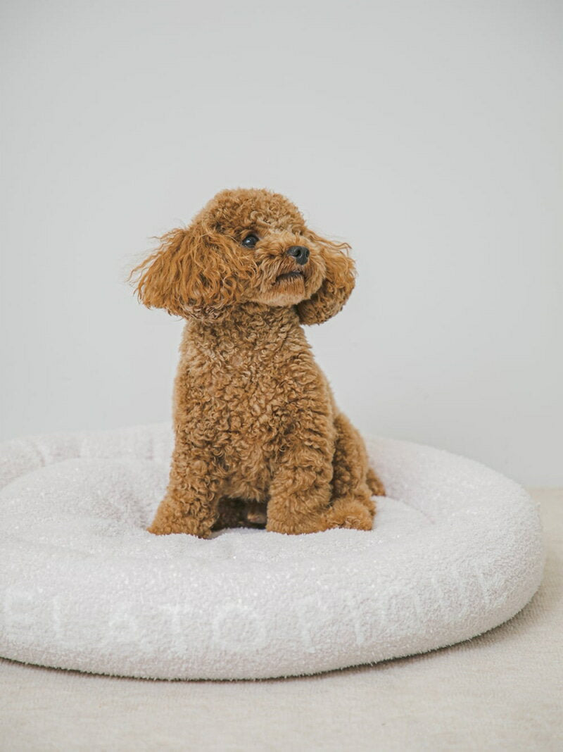 [CAT&DOG] [Only available for sale] Baby Moko Bed GELATO PIQUE CAT&DOG Gelato Pique Pet Supplies Pet Beds, Mats, Cushions, White, Pink, Blue [Free Shipping] [Rakuten Fashion]