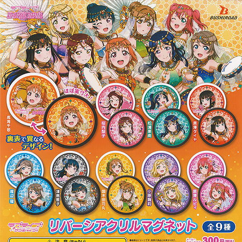 Juego de 9 imanes acrílicos reversibles Love Live Sunshine Bushiroad Gachapon Gacha Gacha completo