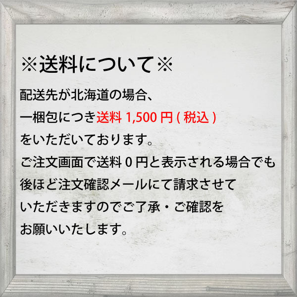 Melamine Square Double Divider Plate Small 170X107mm H32mm Doraemon [J31DO] Marukei Commercial Use Children Children Melamine Tableware Plastic Divider Plate School Lunch D8