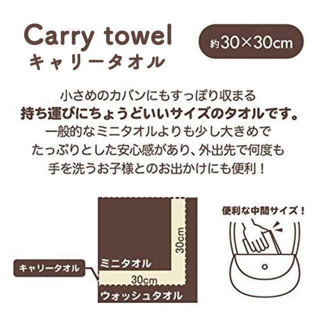 Sailor Moon Costume (Sailor Neptune) Hand Towel Carry Towel Approx. 30 x 30cm