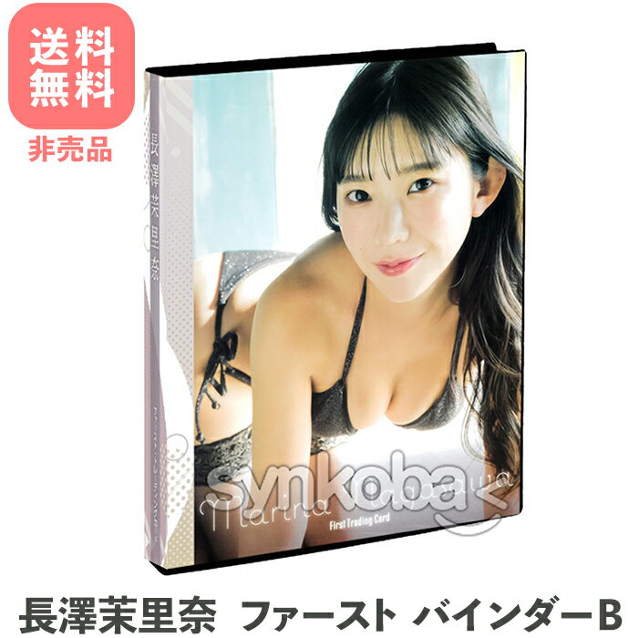 [B] Nagasawa Marina First Trading Card Special Special Binder (Gray Bikini) File Holder Binder