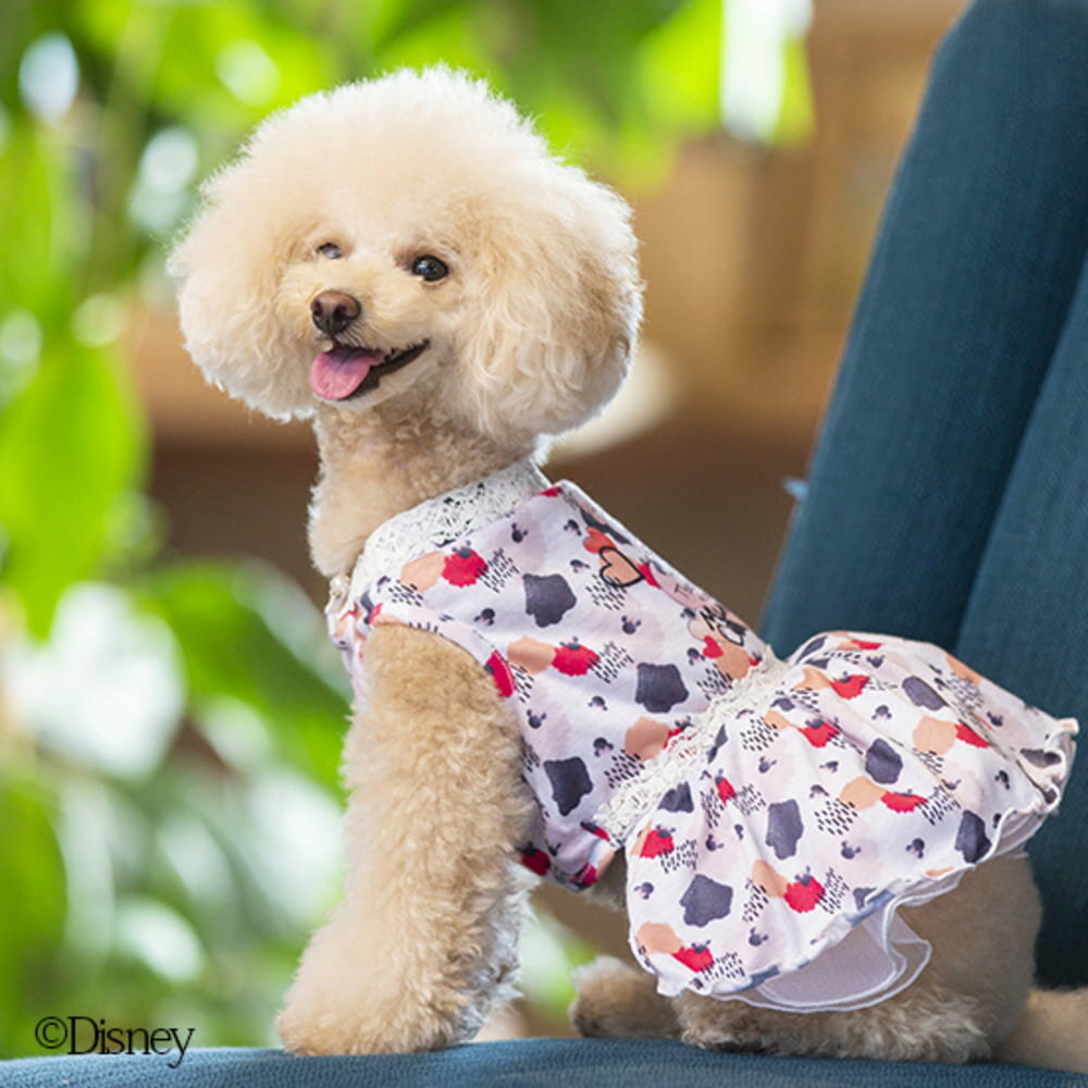 [SALE] [Disney] MIN Fancy Dress Dog Clothes Dog Clothes Dog Clothes Dog Wear Heart Pattern