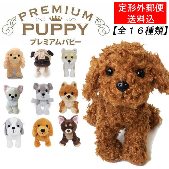 [Shipped by non-standard mail] Premium Puppy S size [Plucky Dogs, Real] [Best Ever Japan]