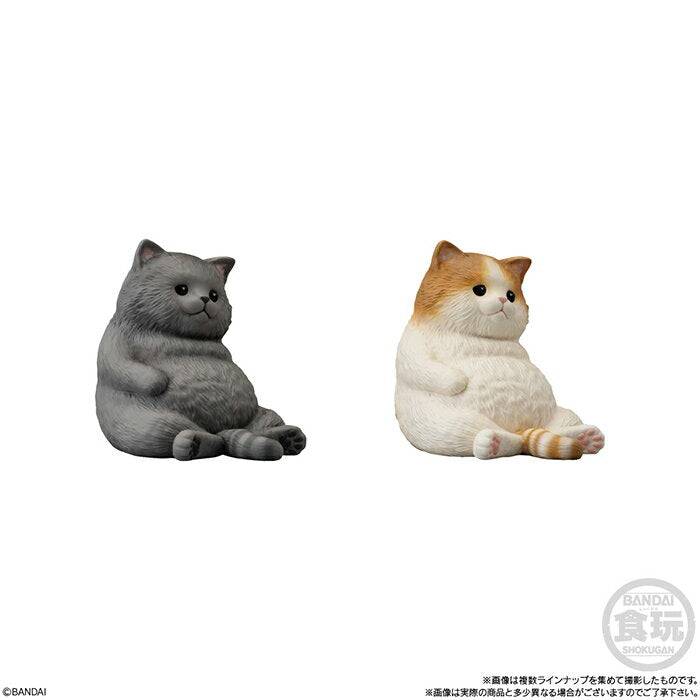 Free shipping BANDAI Candy Mochiri Kororin♪ Cat 12 pieces box Box Bandai Candy Toy Cat Cat Cat Cat Hachiware Gray Brown Tora Black Cat Navel Bamboo Celestial Sitting Figure Soft vinyl doll Soft vinyl Character G