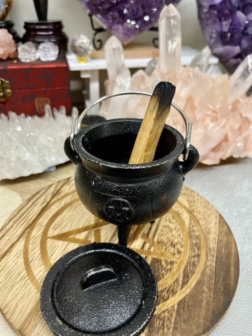 ⭐︎Olla de la Bruja⭐︎Árbol Sagrado Palo Santo con