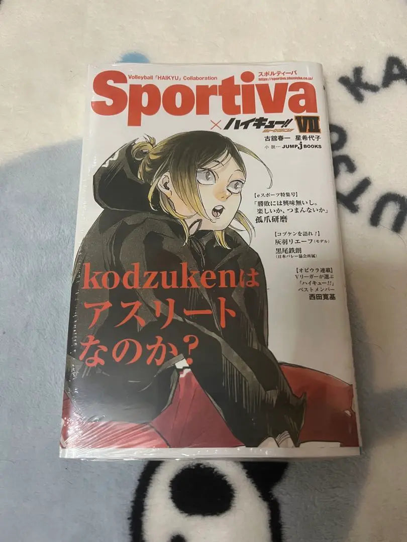 Haikyuu Shosetuban Volumen 7