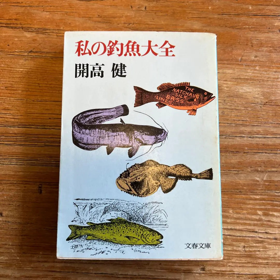 My Complete Guide to Diaogatari Kaiko Ken 1978 | 私の釣魚大全 開高健 1978年