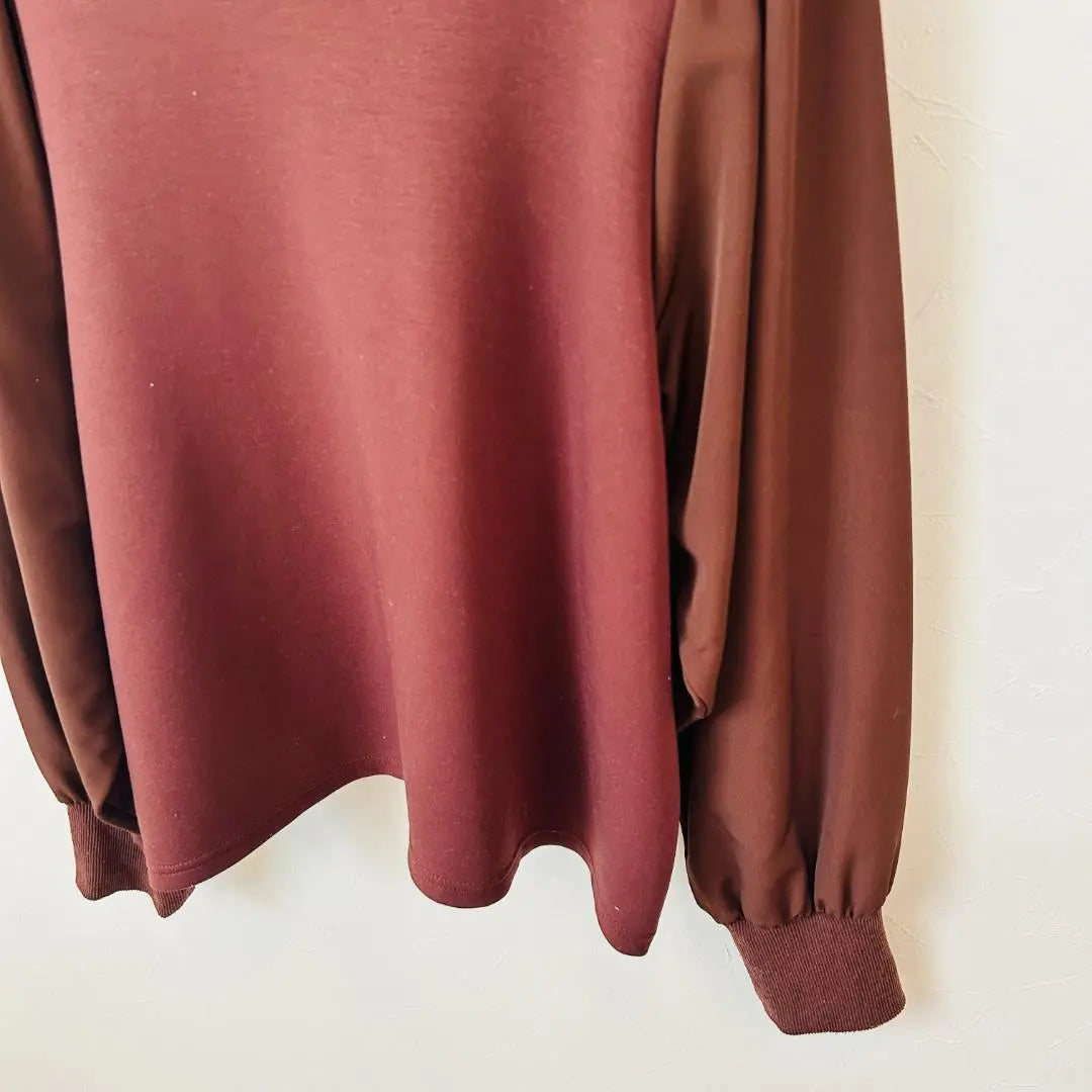 [Good condition, only one item] elgna Bordeaux top, different material, sleeve design, LL