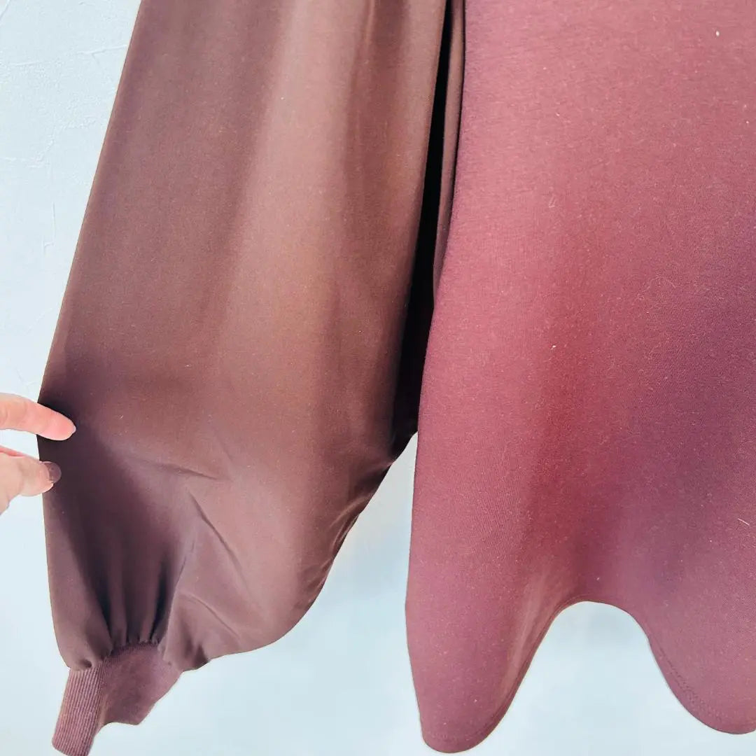 [Good condition, only one item] elgna Bordeaux top, different material, sleeve design, LL