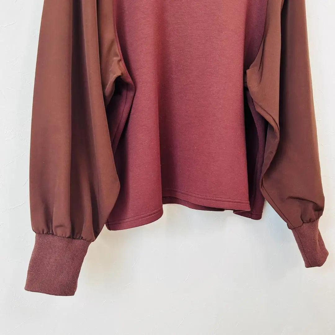 [Good condition, only one item] elgna Bordeaux top, different material, sleeve design, LL