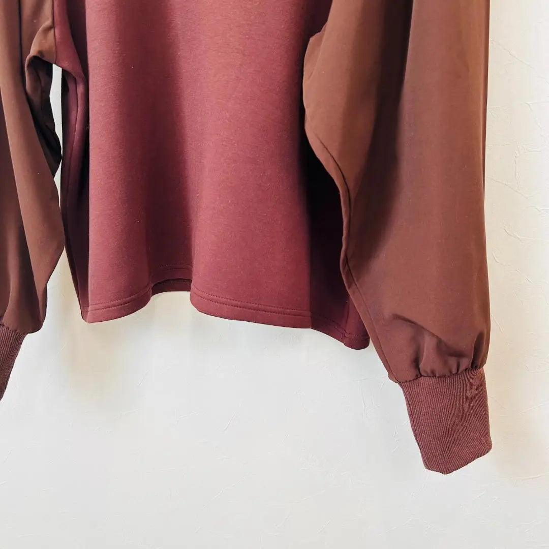 [Good condition, only one item] elgna Bordeaux top, different material, sleeve design, LL