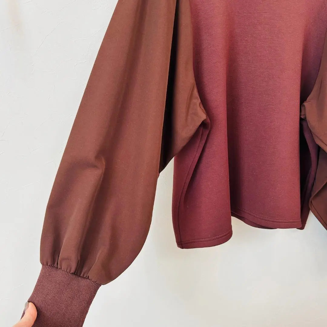 [Good condition, only one item] elgna Bordeaux top, different material, sleeve design, LL