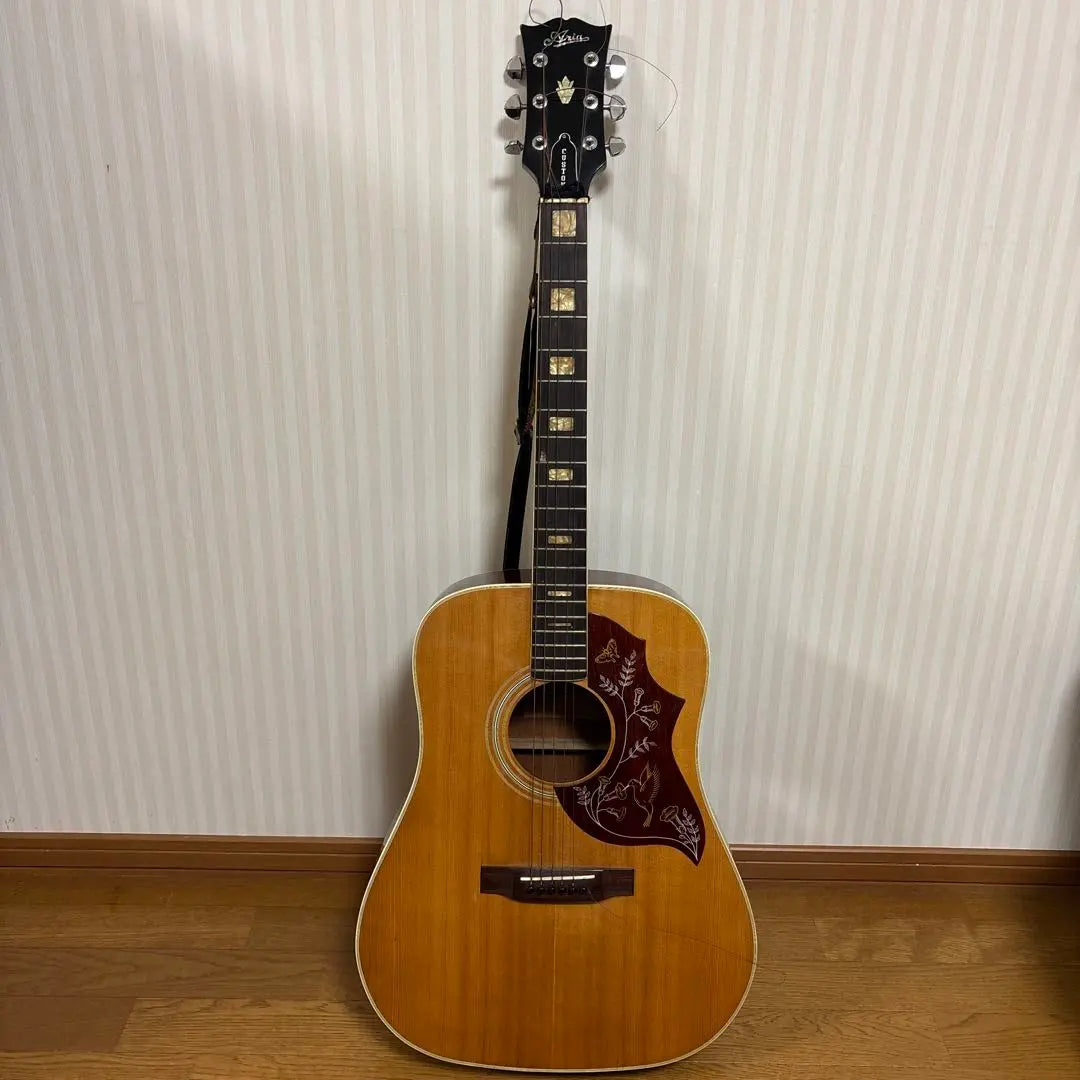 Aria Custom Acoustic Guitar