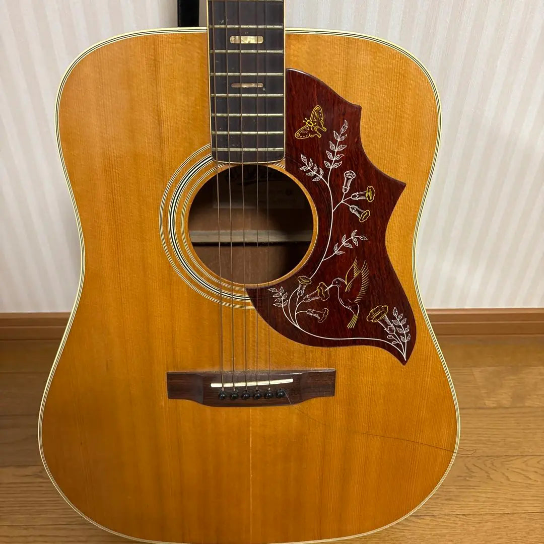 Aria Custom Acoustic Guitar