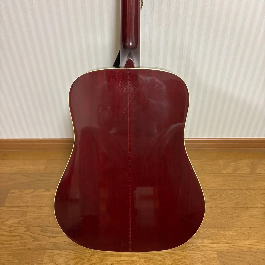 Aria Custom Acoustic Guitar