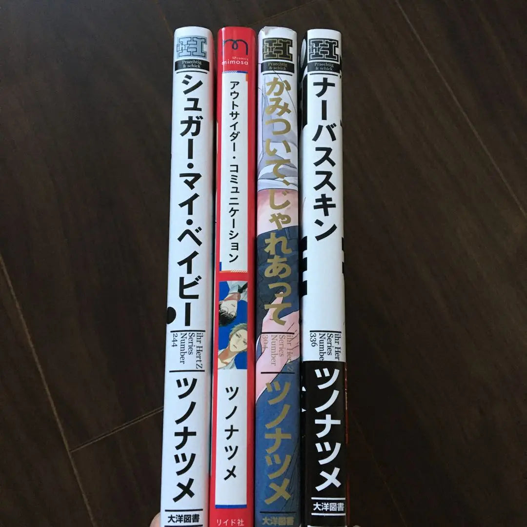 Conjunto de cómics BL de 4 volúmenes de Horn Natsume