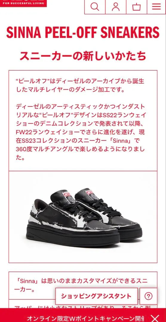 [⚠︎Price without box] Sinna Series DIESEL Damaged Sneakers