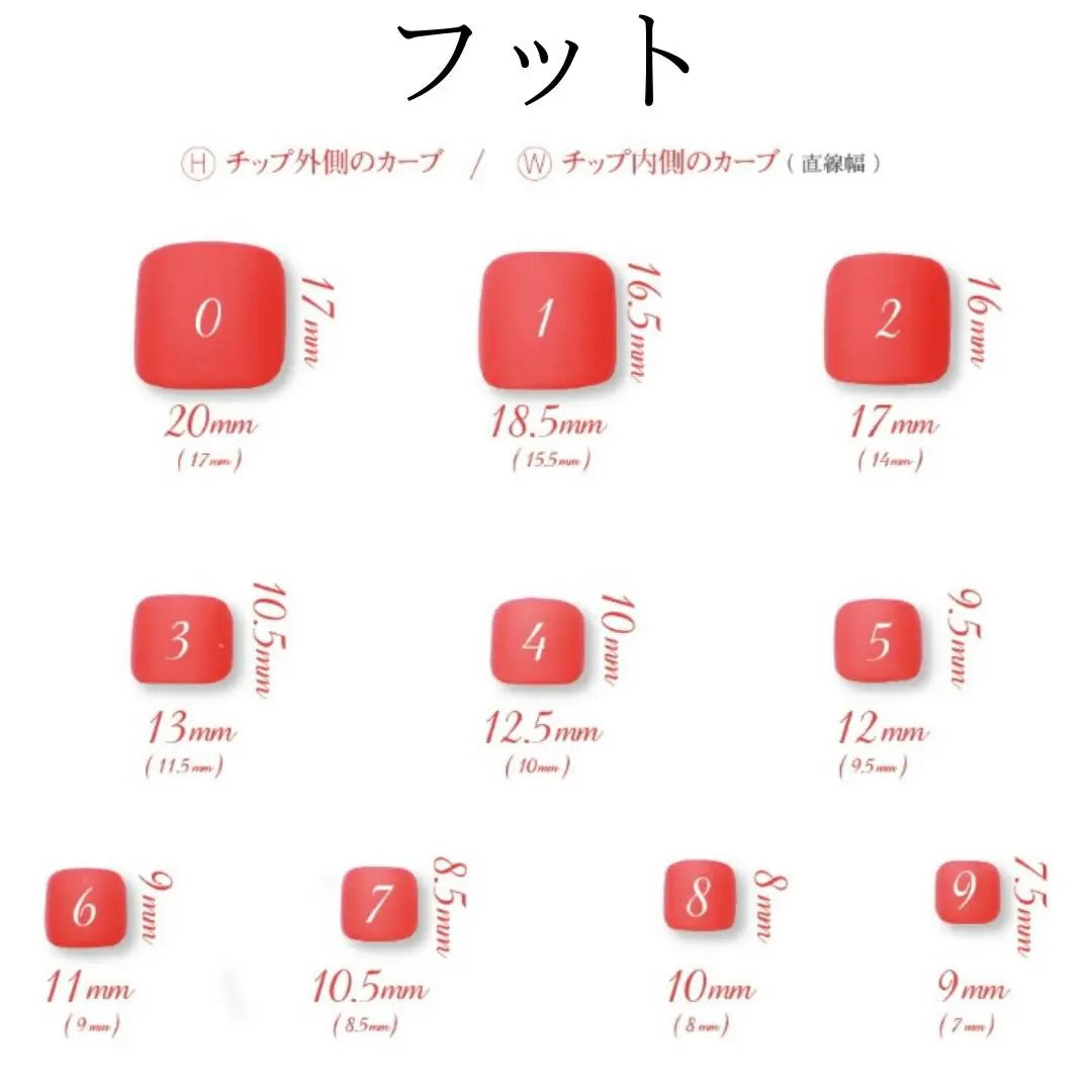 [Size check nail tip] You can choose from 10 types of hand!