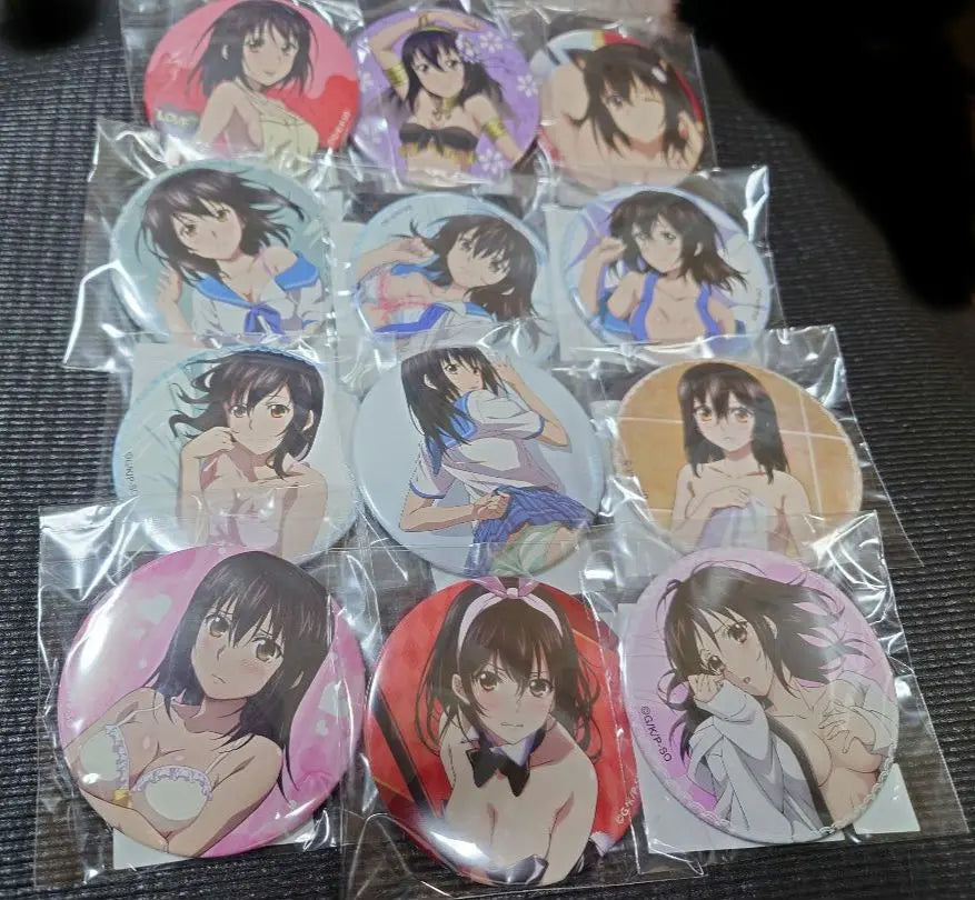 Strike the Blood Himeji Yukina Can Badge Set of 12