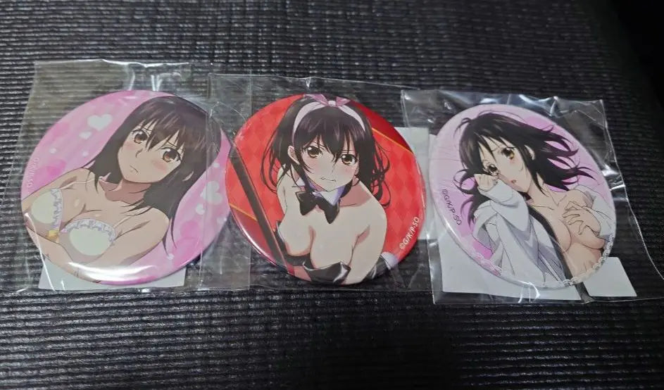 Strike the Blood Himeji Yukina Can Badge Set of 12