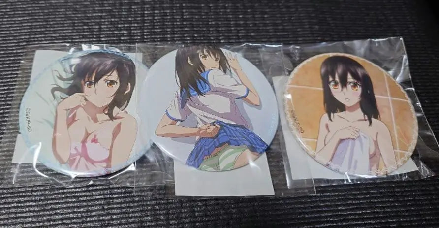 Strike the Blood Himeji Yukina Can Badge Set of 12