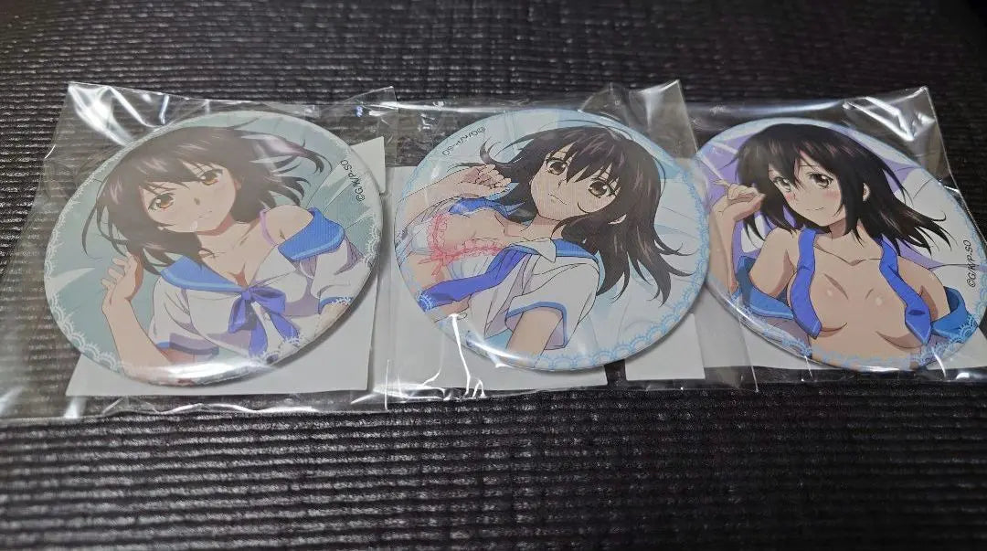 Strike the Blood Himeji Yukina Can Badge Set of 12