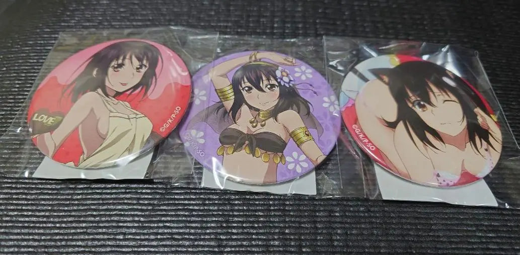 Strike the Blood Himeji Yukina Can Badge Set of 12