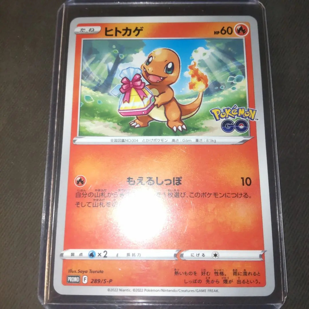 Pokemon Cards [Great Three Family] Promo Card Set Selling