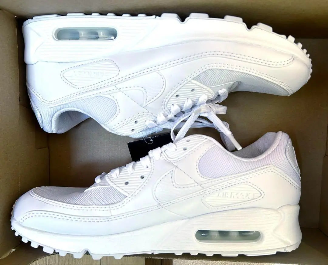 Nike Air Max 90 Triple White 29.0