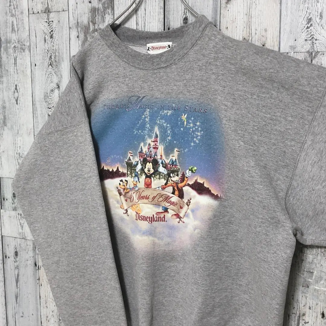 Made in USA ☆ Disney Character Print 90s 2XL equivalent trainer sweatshirt