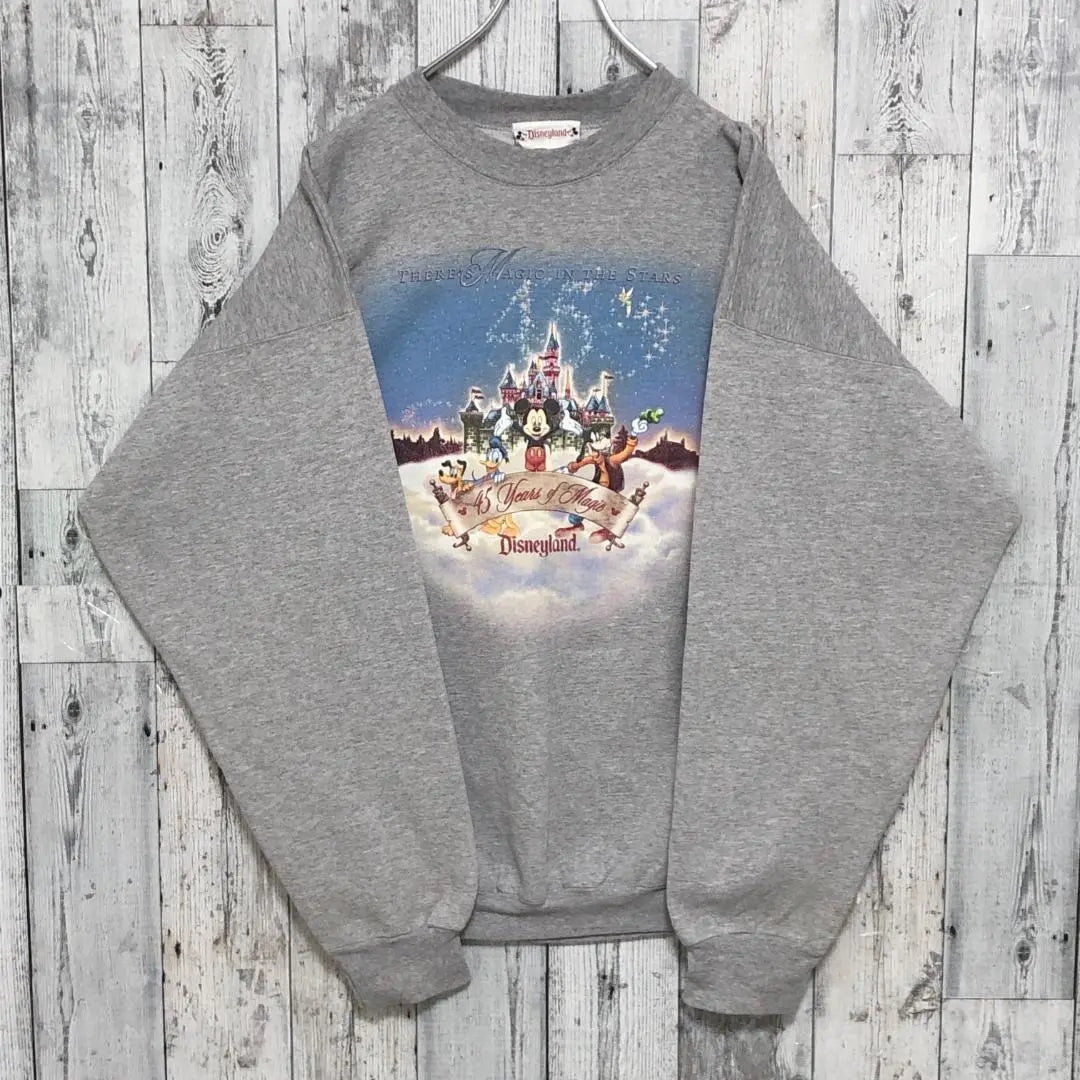 Made in USA ☆ Disney Character Print 90s 2XL equivalent trainer sweatshirt