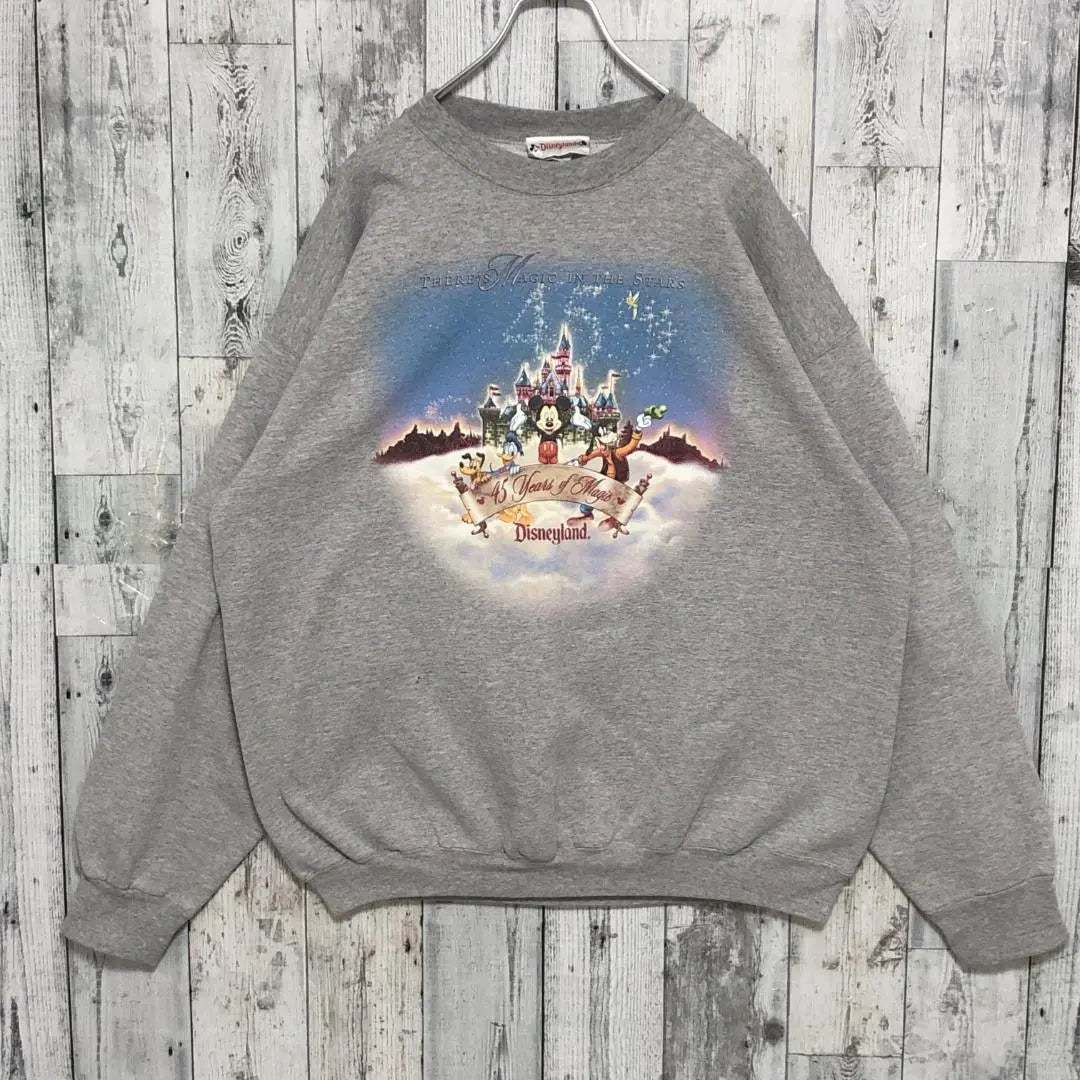 Made in USA ☆ Disney Character Print 90s 2XL equivalent trainer sweatshirt