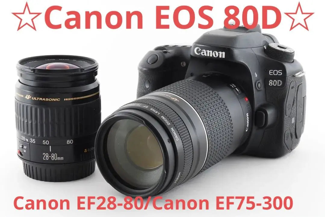 Canon EOS 80D/Double Lens Set/EF28-80/EF75-300