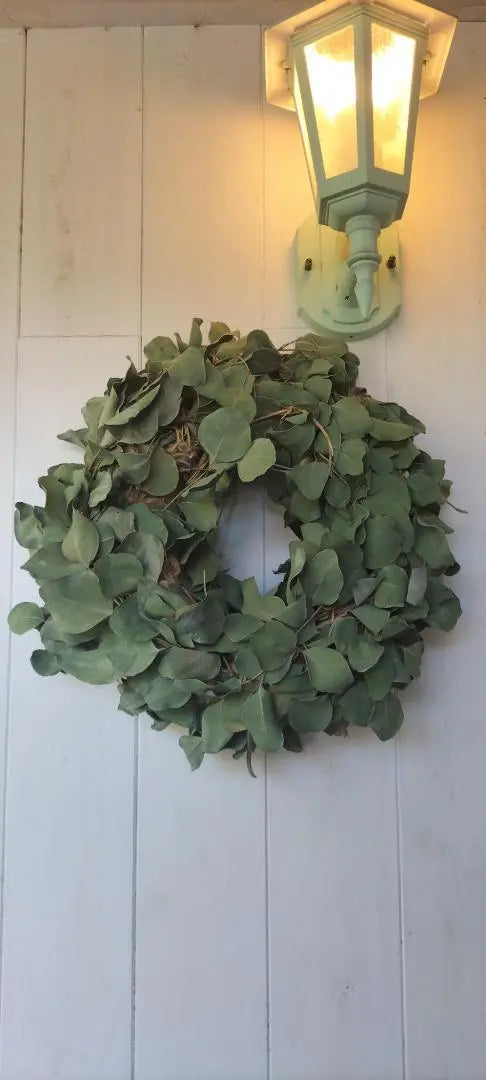 ✨Eucalyptus Natural Simple BIG Wreath✨