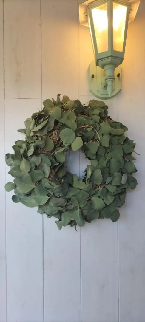 ✨Eucalyptus Natural Simple BIG Wreath✨