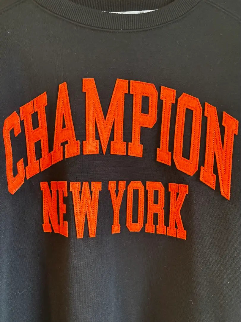 Champion sweatshirt