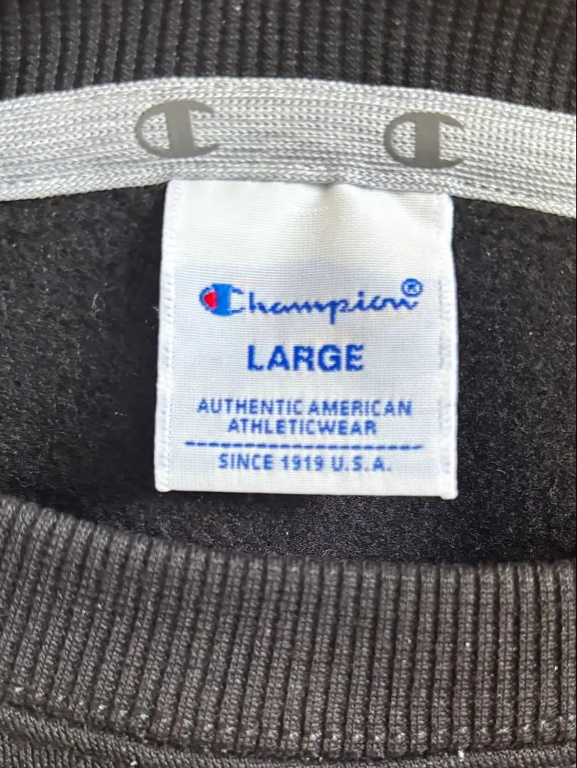 Champion sweatshirt