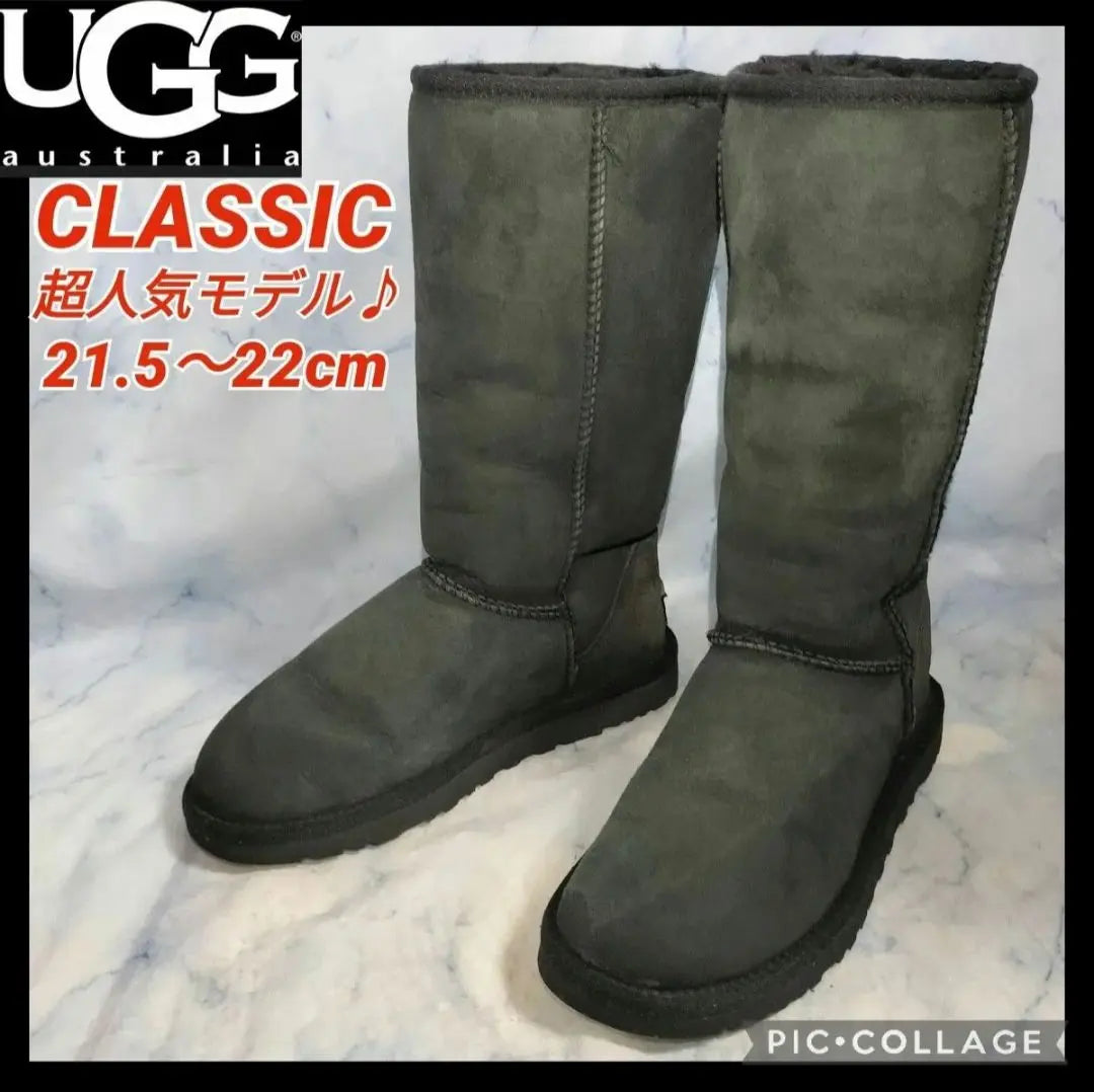 [★Free Shipping★] Agu Australia Classic Tall Boots Black 22cm