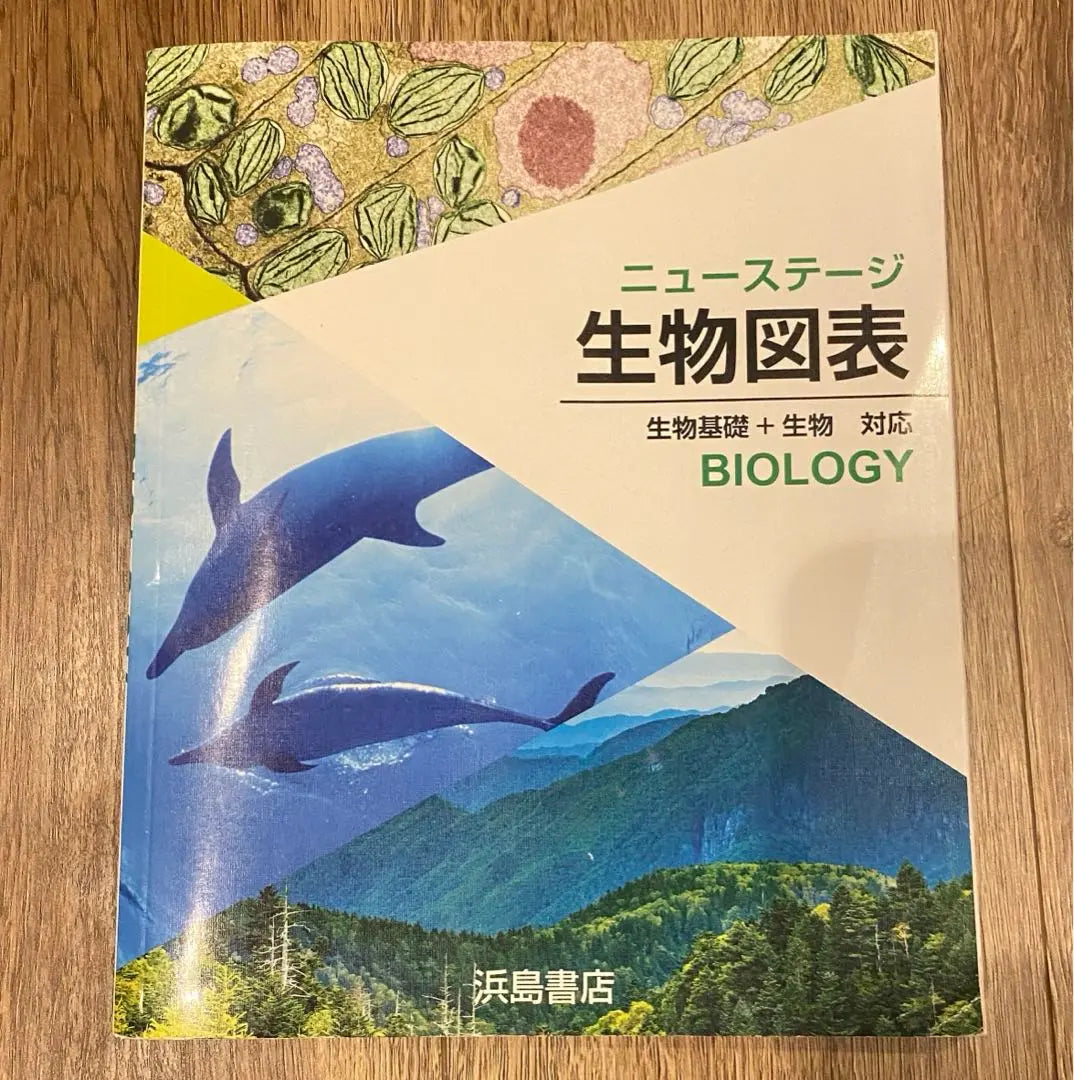 New Stage Biology | ニューステージ 生物図表