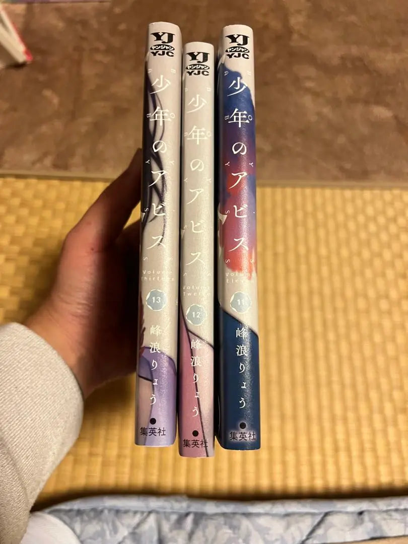 Boy's Abyss 11-13 volumes