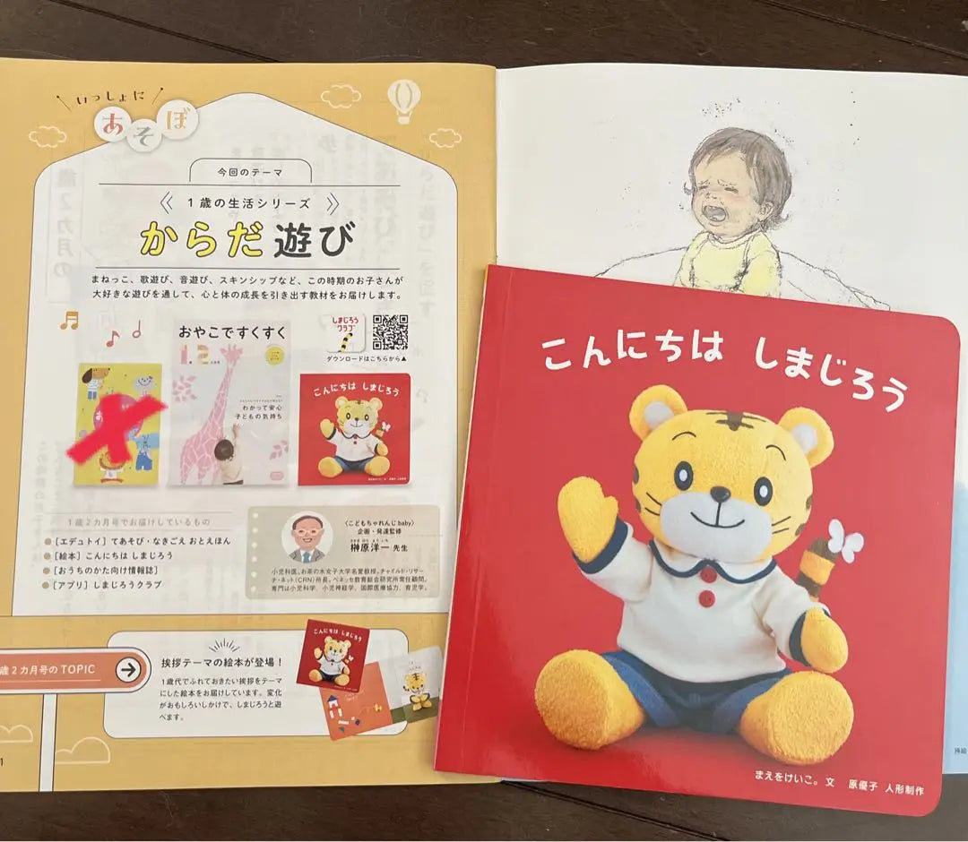 Benesse Children's Challenge BABY 1 year 1 to 1 year 8 months toy Picture Materials | ベネッセ こどもチャレンジbaby 1歳1ヶ月〜1歳8ヶ月おもちゃ 絵本 教材