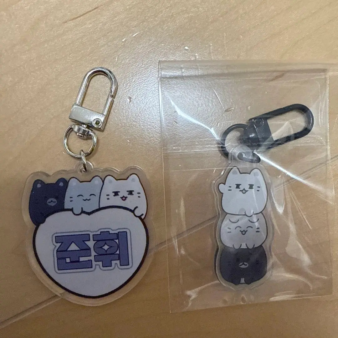 SEVENTEEN Jun MINITEEN Key ring set of 2