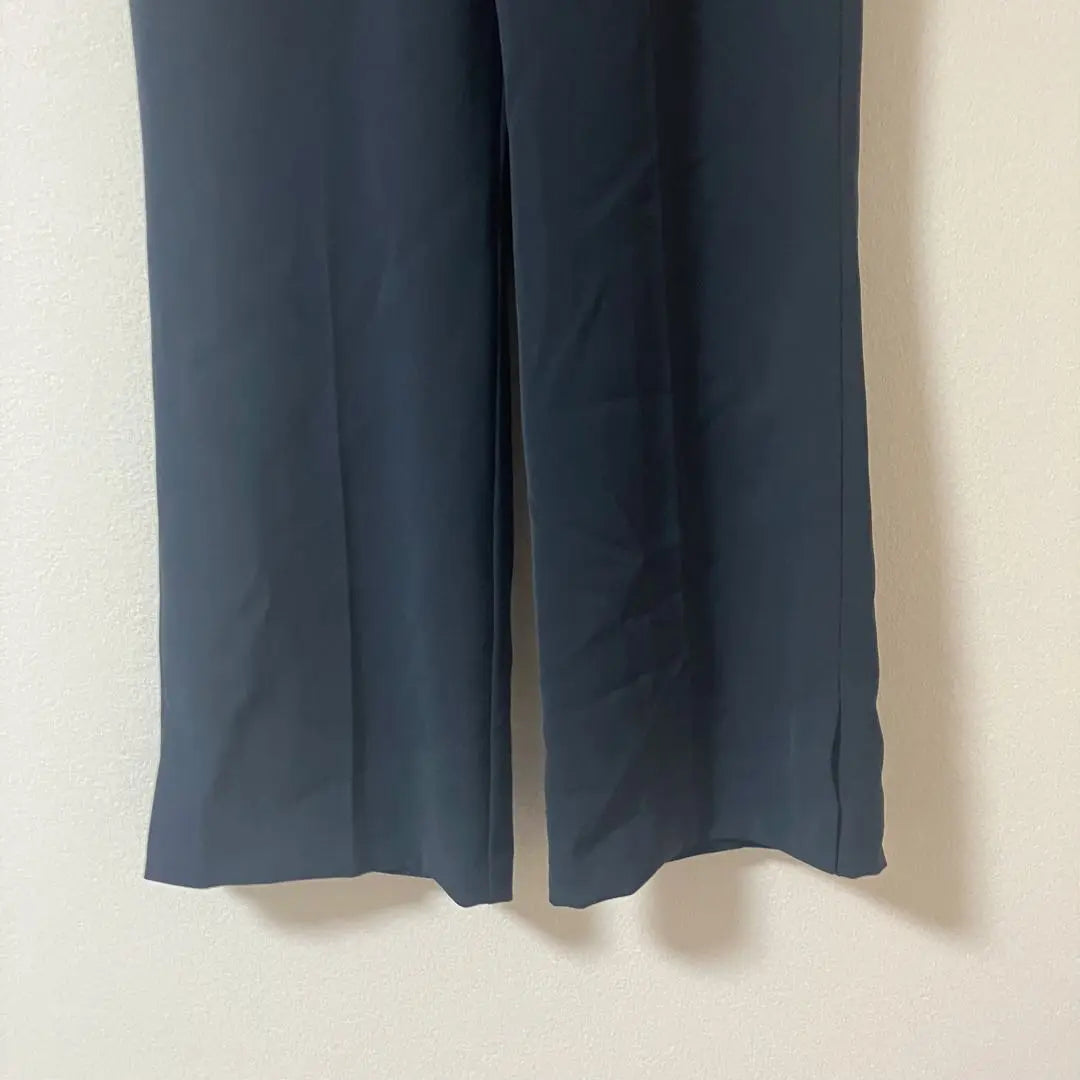 1-483 SHIFONERY Slacks