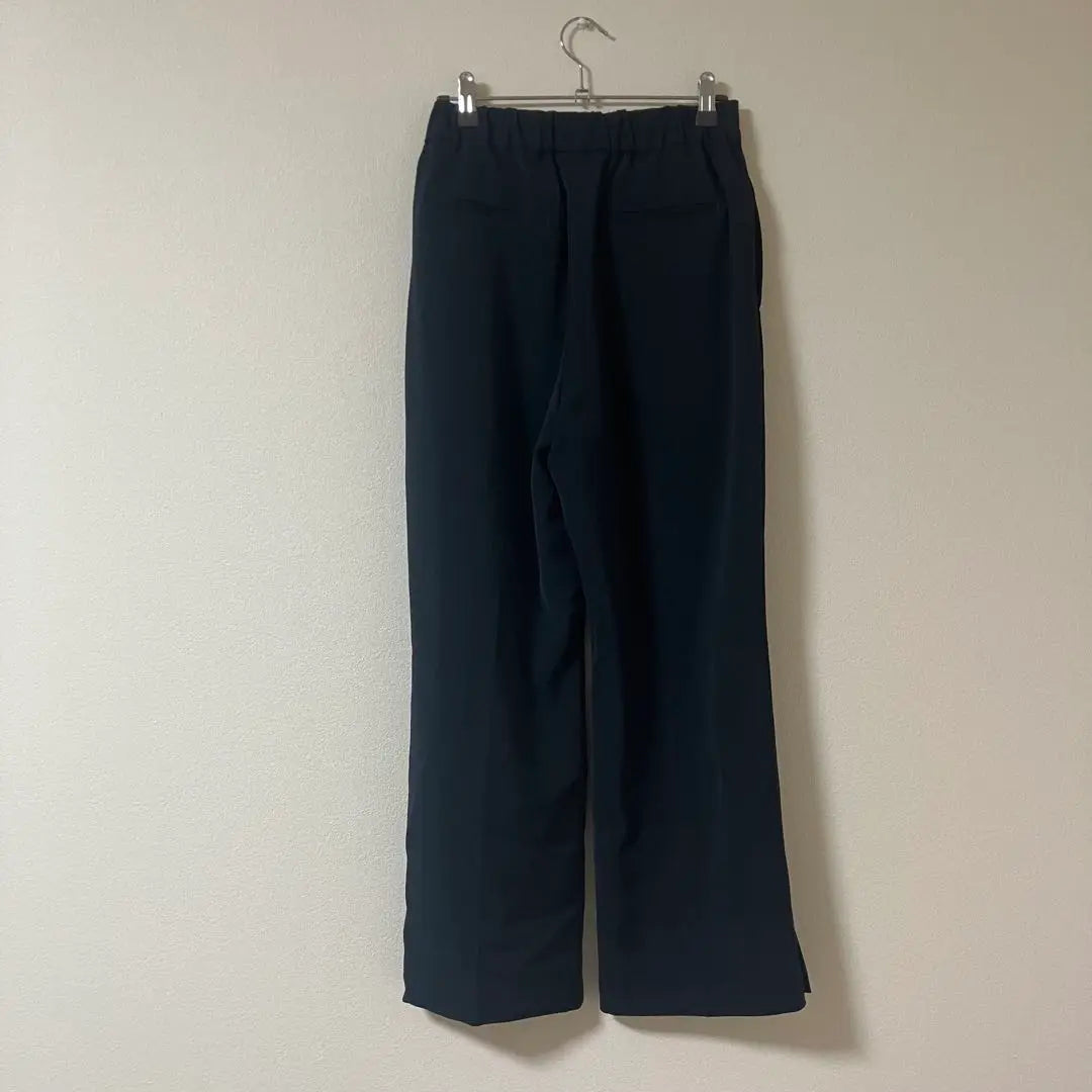 1-483 SHIFONERY Slacks